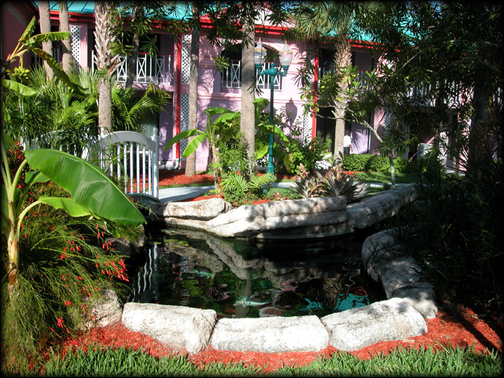 Coy Fish Pond in Cape Canaveral